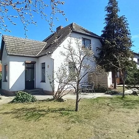 Ferienwohnung Annika Mit Sauna Zinnowitz Εξωτερικό φωτογραφία